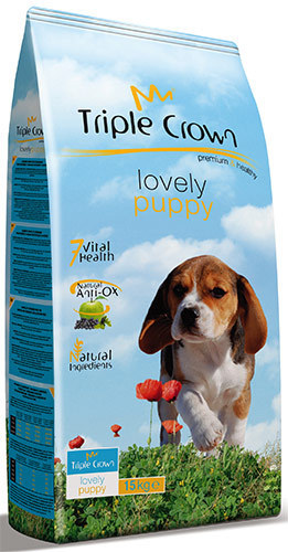 Triple Crown Lovely Puppy