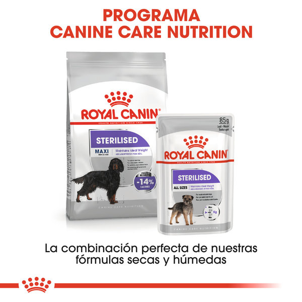 Royal Canin Perro Maxi Sterilised