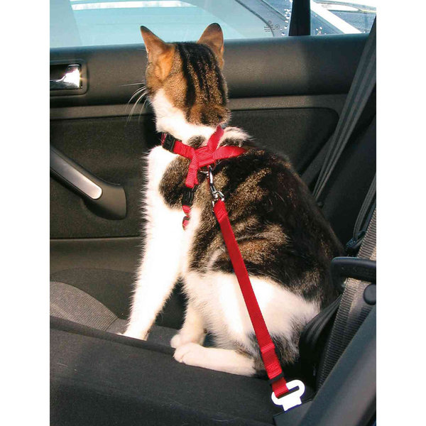 Trixie Arnés y Cinturón de Seguridad Gatos