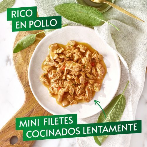 Gourmet Nature's Creations Mini Filetes Rico en Pollo 85 gr.