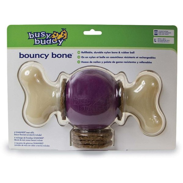 PetSafe Busy Buddy Bouncy Bone