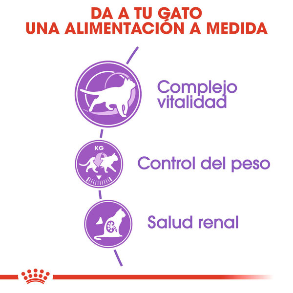 Royal Canin Gato Sterilised 7+