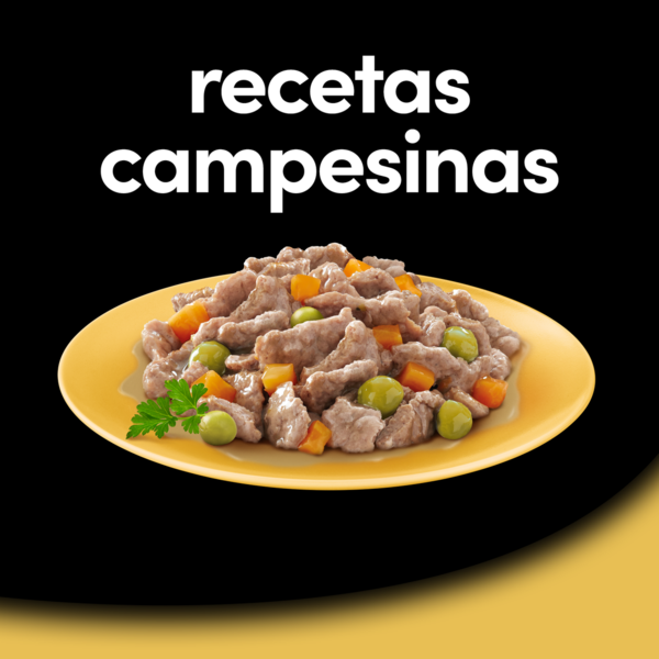 Cesar Multipack Recetas Campesinas Selección 4 en Salsa