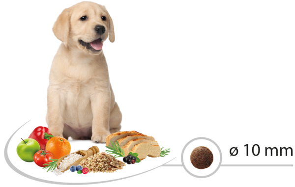 Picart Select Dog Puppy Medium Chicken and Rice