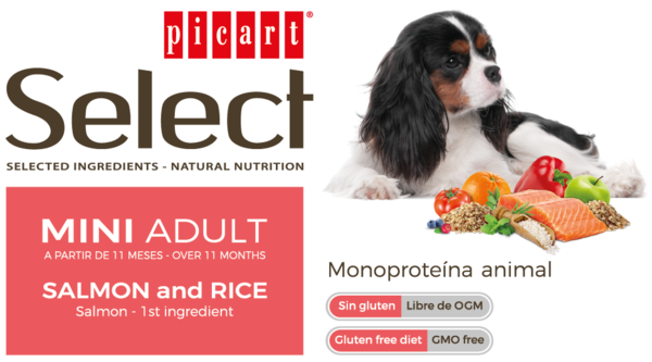 Picart Select Dog Mini Adult Salmon and Rice