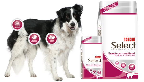 Picart Select Dog Veterinary Diets Gastrointestinal