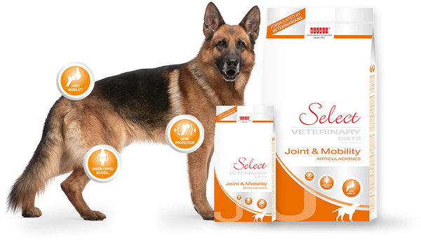 Picart Select Dog Veterinary Diets Joint & Mobility