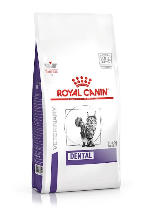 Royal Canin Gato Veterinary Diet Dental