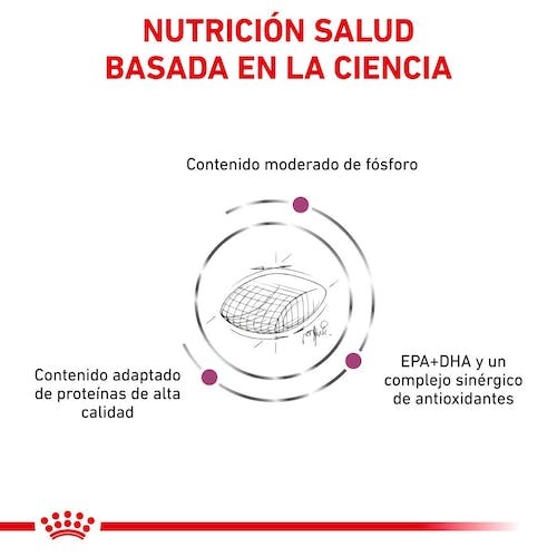 Royal Canin Perro Veterinary Diet Early Renal