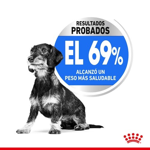 Royal Canin Perro X-Small light Weight Care